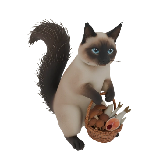Squirrel-cat