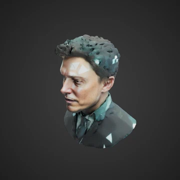 Polygonal elon musk