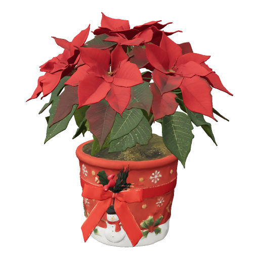 Christmas flower