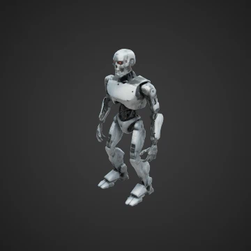 Terminator robot